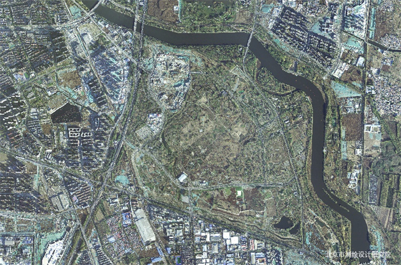 2020年城市绿心森林公园影像图.PNG