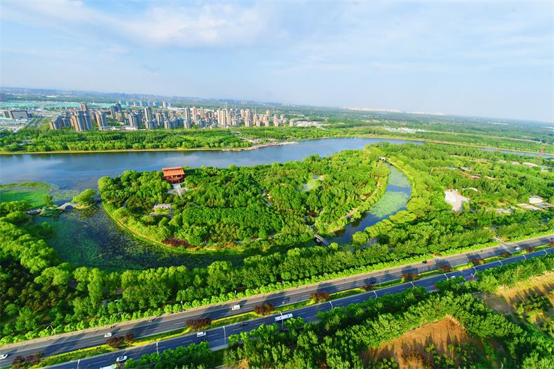 大运河森林公园.jpg