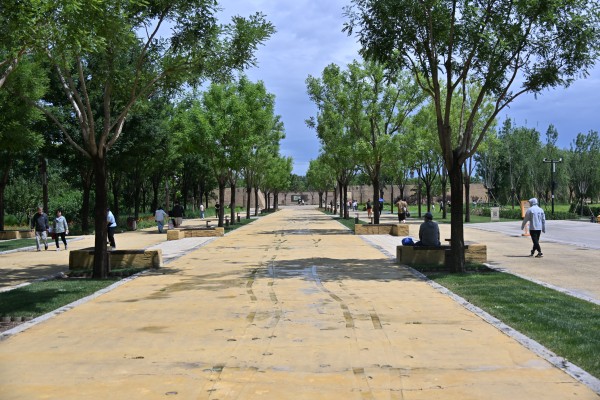 CMS_0445.JPG