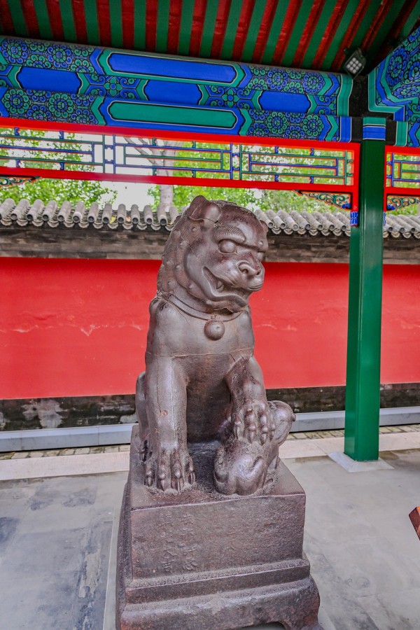 CMS_8818.jpg