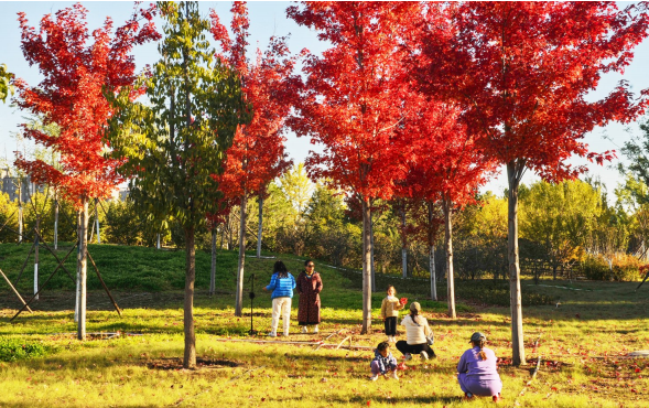 1762275839475156.png 1762275235381.png