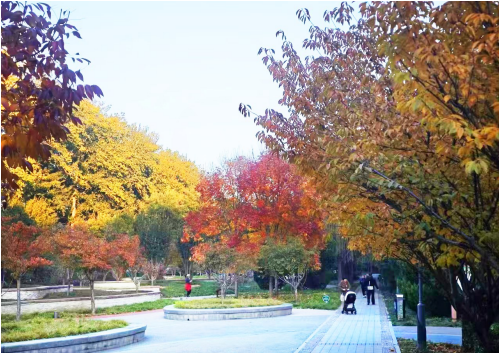 1762444123102897.png 1762443290613.png