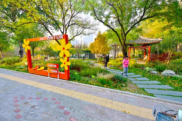 1762872297219677.jpg 1-3.jpg