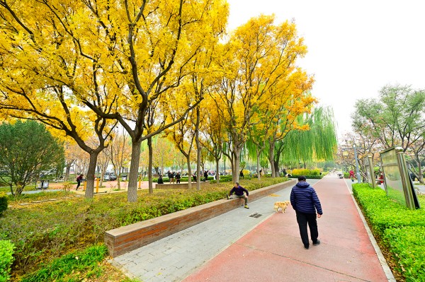 1762872297306214.jpg 1-1.jpg