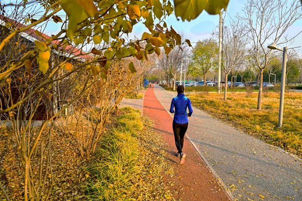 1762872297826812.jpg 1-2.jpg