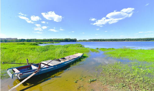 1763479109389007.png 1763478523108.png