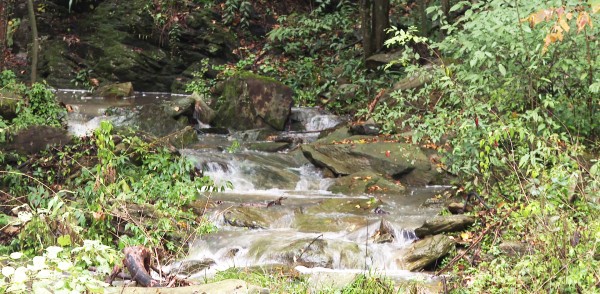 1764602341504719.jpg 3-1.jpg