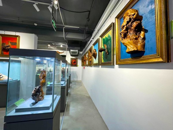 1764691131132150.jpg 2-2.jpg