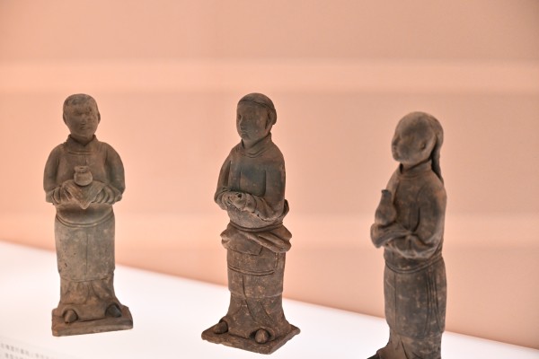 1768748981483591.jpg CMS_8415.JPG