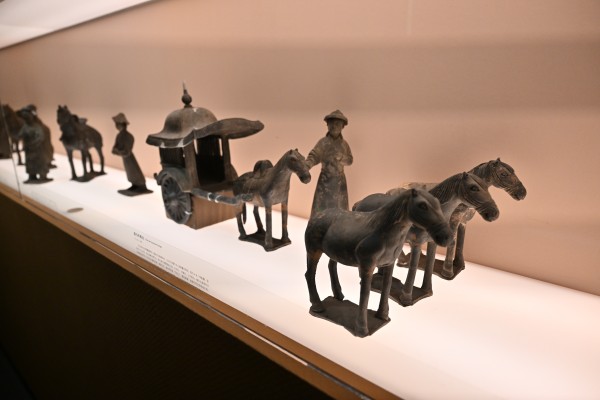 1768748981771947.jpg CMS_8414.JPG