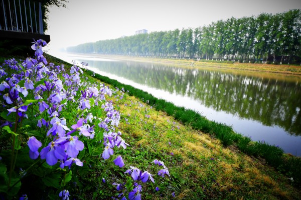 1768833750986718.jpg 运潮减河河道治理.JPG