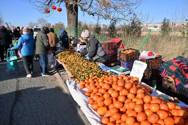 1769096759109507.jpg CMS_8466.JPG