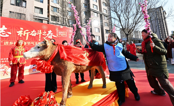 1770134024141316.png 1770133520697.png