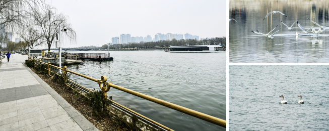 1772469036234351.png 1772468227038.png