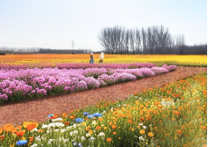 1772640985542544.png 1772640084694.png