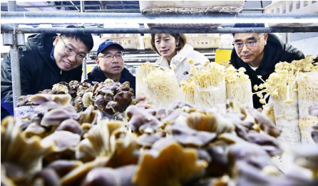 1772731620172686.png 1772731405358.png