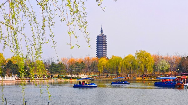 1774968875921697.jpg 3-3.jpg