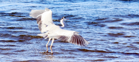 1775059077107953.png 1775058383094.png