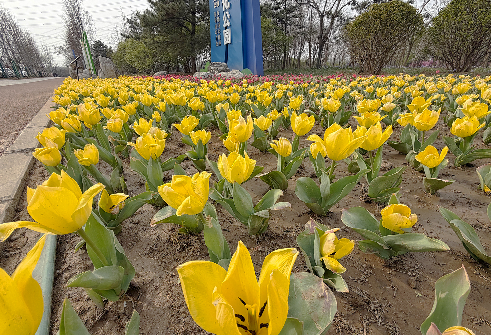 1775145199124060.jpg 3-1.jpg