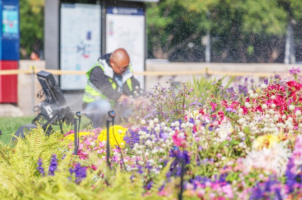 1791903050733304.jpg 2-2.jpg